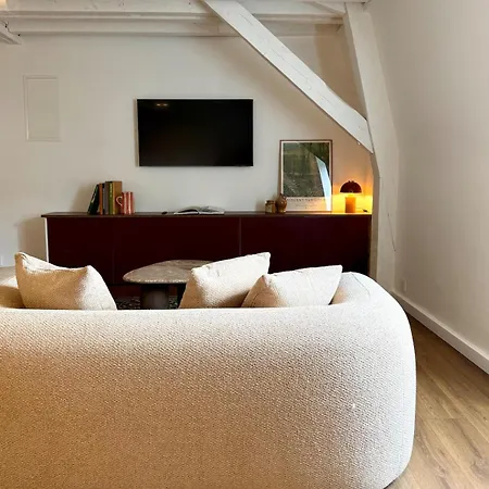 Centre Historique - Climatisation & Garage Prive Apartament *