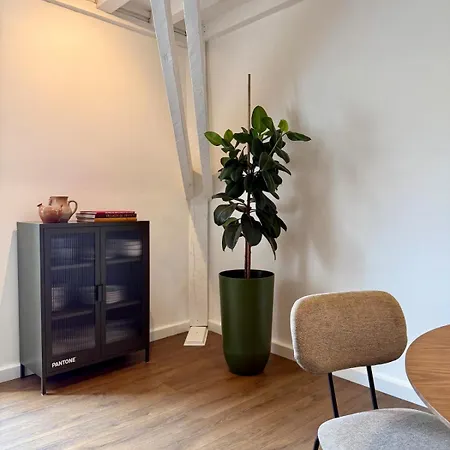 Appartement Centre Historique - Climatisation & Garage Prive